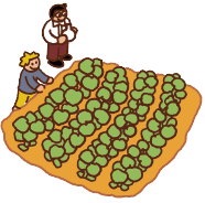 持続可能な食を実現する